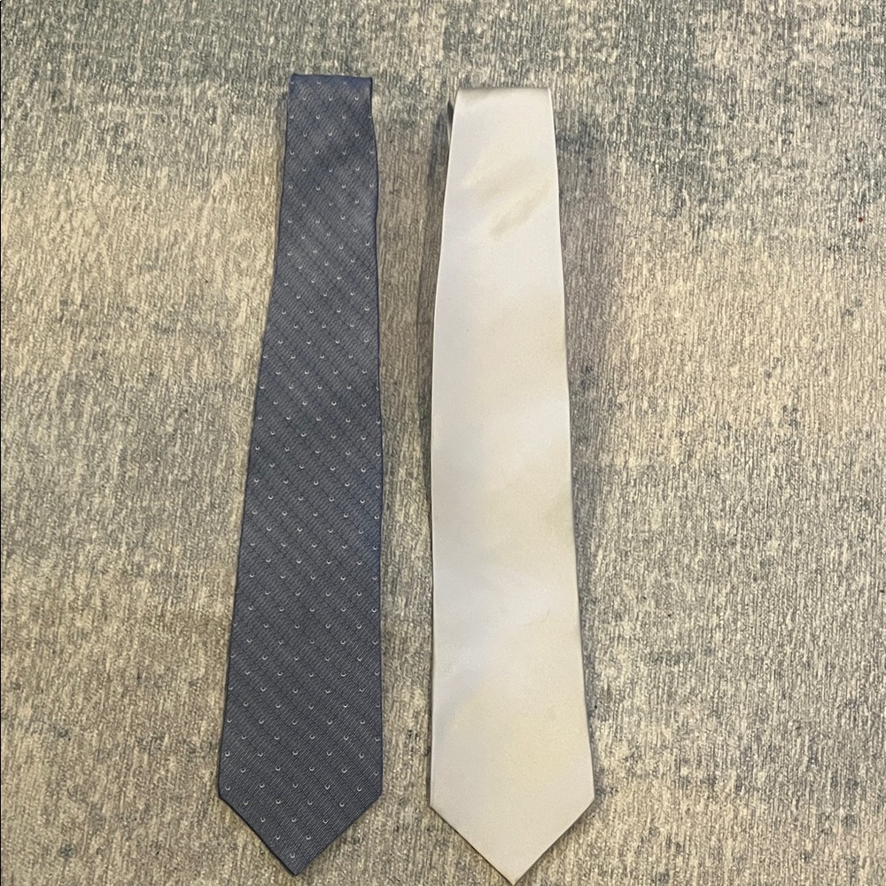 2 GORGEOUS Men's Ties! Classic Formal Neckties